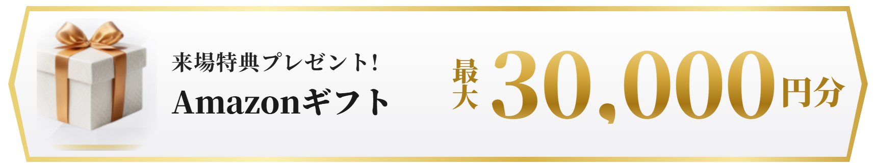 来場特典プレゼント！Amazonギフト 最大30,000円分